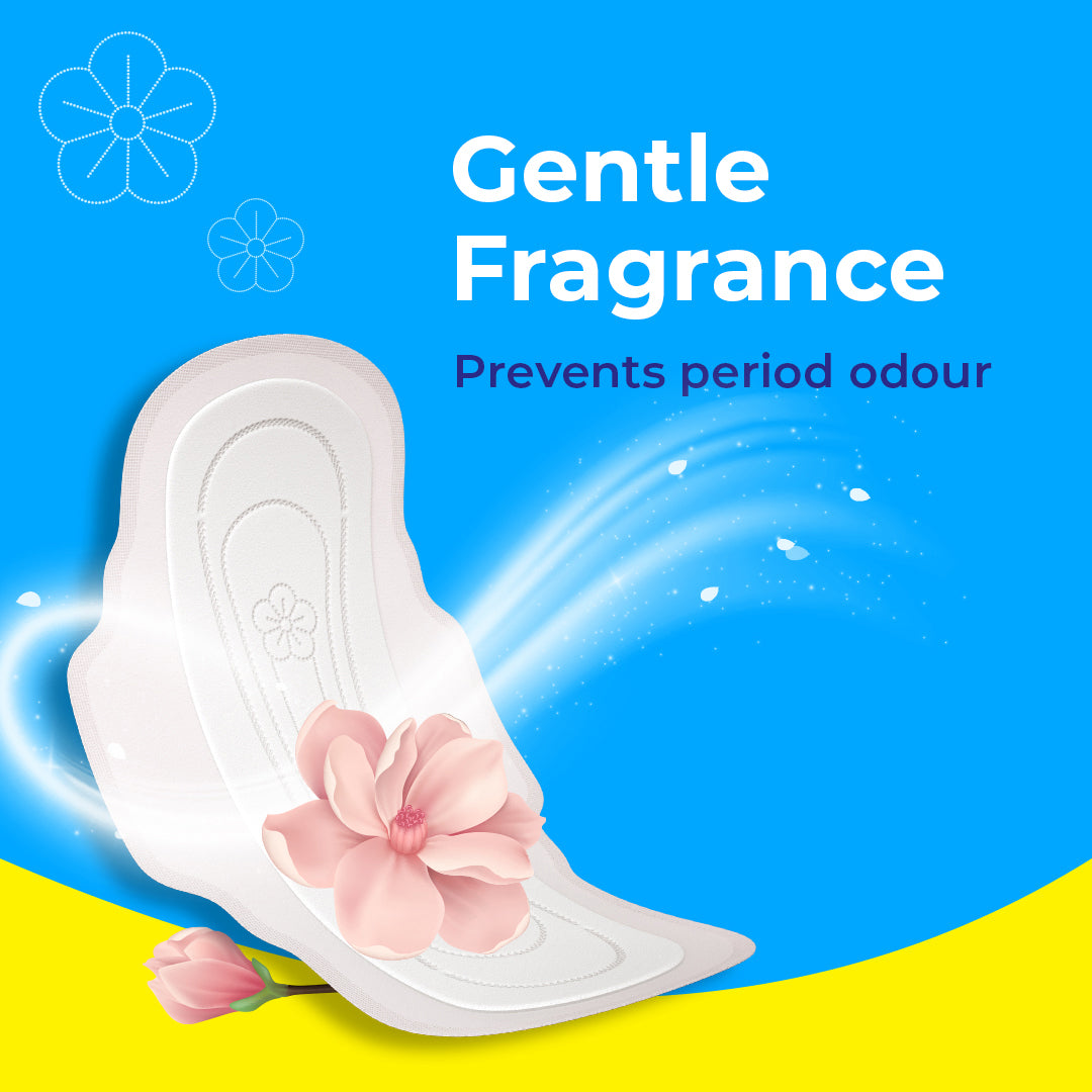 Paree Dry Regular 20 Pads | 3 Second Absorption | Dry Comfort | Mild Fragrance | Heavy Flow Sanitary Pads for Women