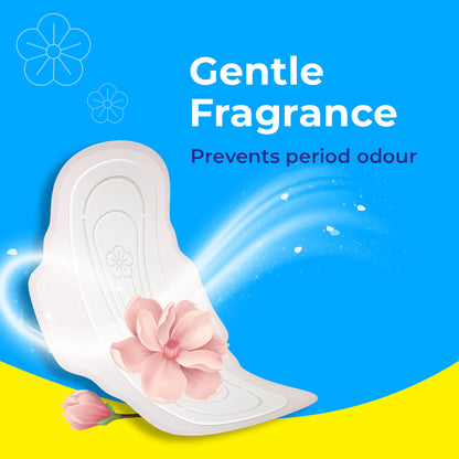 Paree Dry Regular 20 Pads | 3 Second Absorption | Dry Comfort | Mild Fragrance | Heavy Flow Sanitary Pads for Women